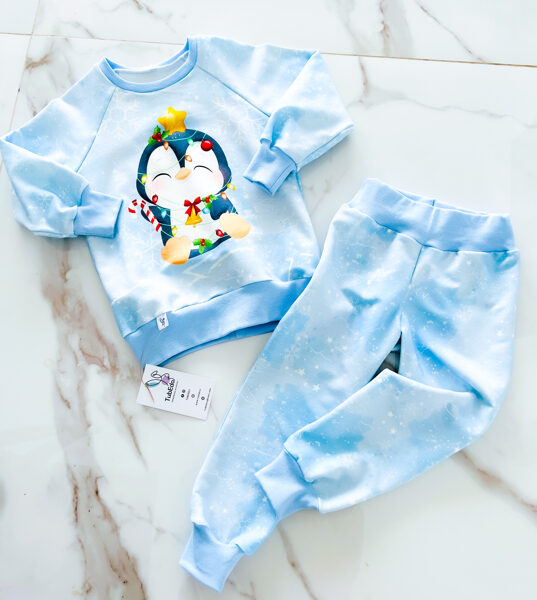 Mājas komplekts "Pinvīns ar lampiņām"